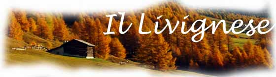 Una foresta di larici in autunno