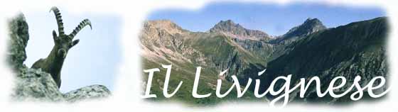 La Val Saliente con Cima Salente e  Cima Cavalli