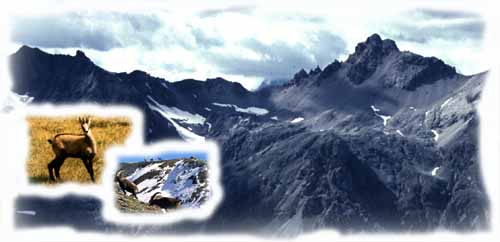 Cima Saliente e sotto Il Passo Trupchun