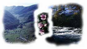 la val Federia e il suo torrente la val Federia e il suo torrente