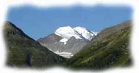parte del Gruppo del Bernina visto dalla strada delle Mine