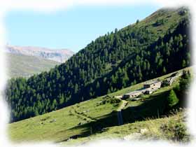 la Valle delle Mine guardando  verso la Valle di Livigno