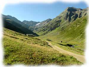 La valle delle Mine poco prima della malga delle Mine