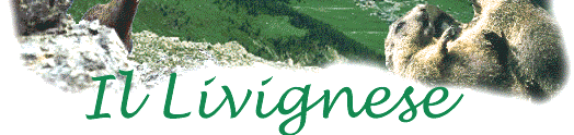 marmotte che giocano a Livigno