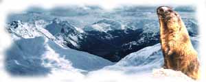 montagne del livignese