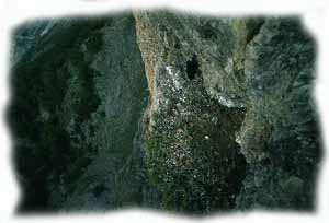 il nido dell'aquila