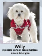 vai al blog di Willy