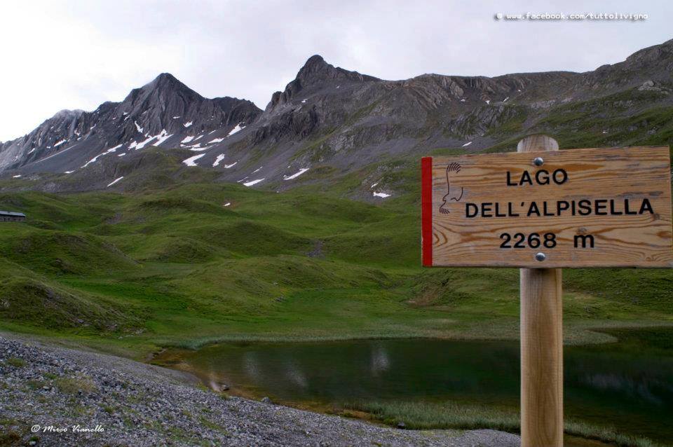 gita valle alpisella Livigno title=