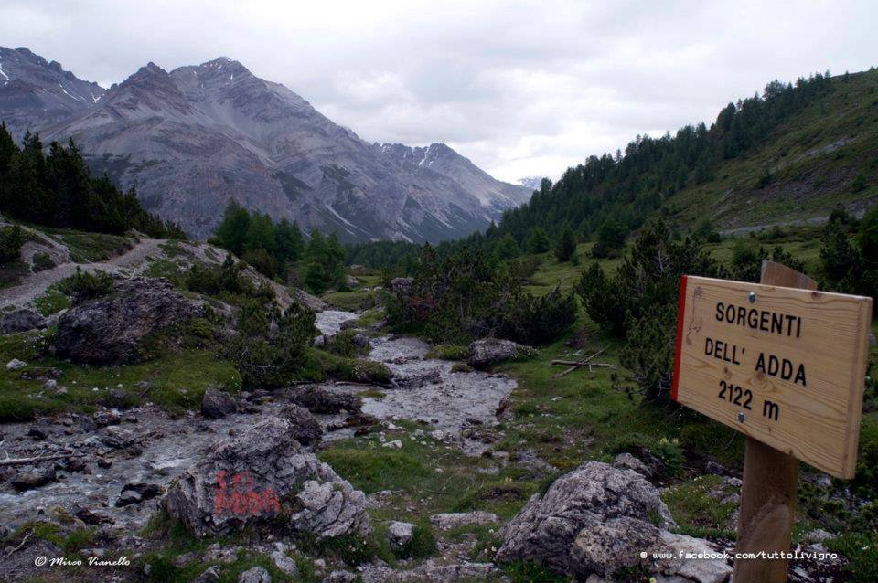 gita valle alpisella Livigno title=