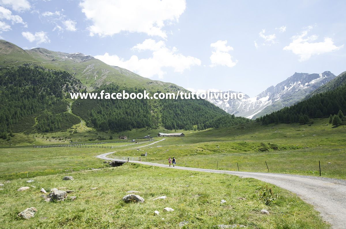 partenza dall'Alpe Vago - parcheggio sulla strada della forcola Alpe Vago