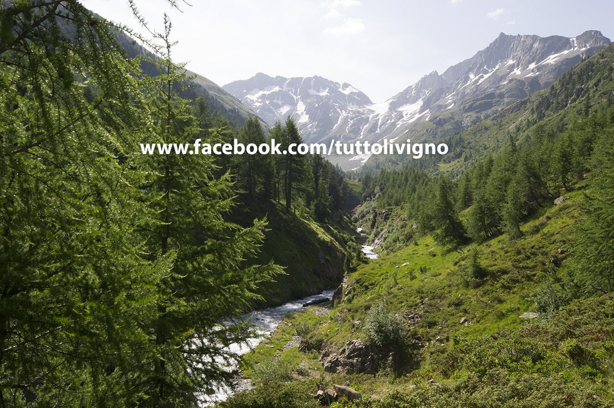 dal sentiero la bella veduta sulle cime e sul torrente di Val Nera veduta sullla valle e il torrento Val Nera