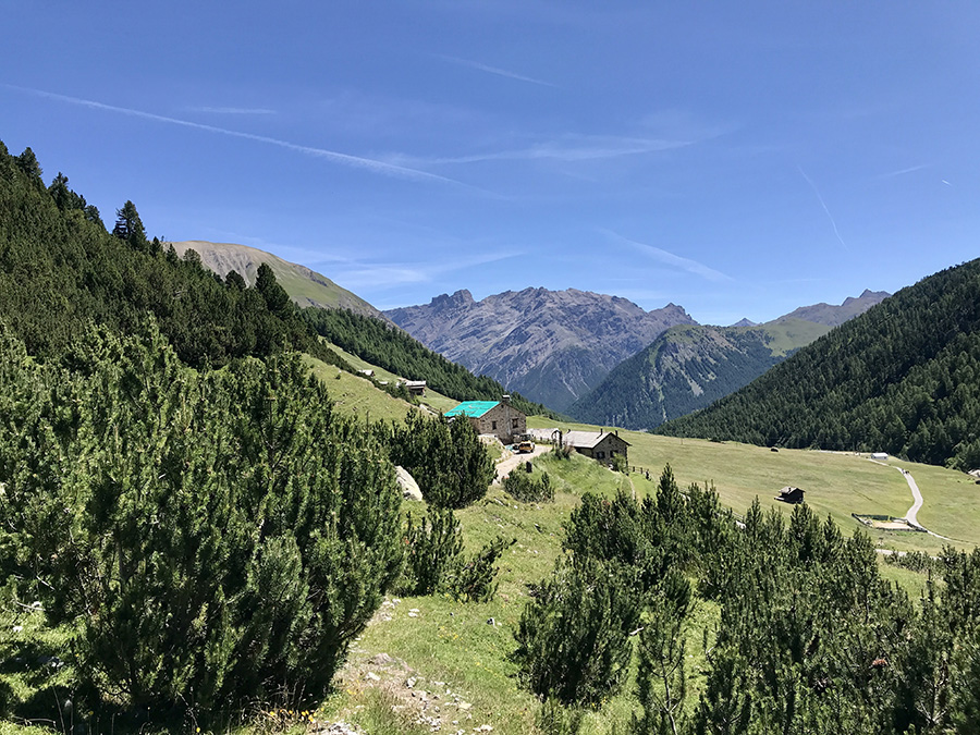 Il paesaggio guardandio verso le Tee di Federia, sentiero di ritorno Il paesaggio guardandio verso le Tee di Federia, sentiero di ritorno