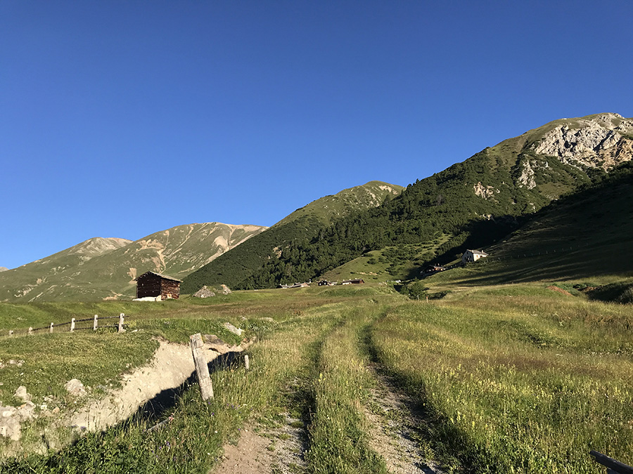 uno scorcio verso li 'tea da Fedaria'