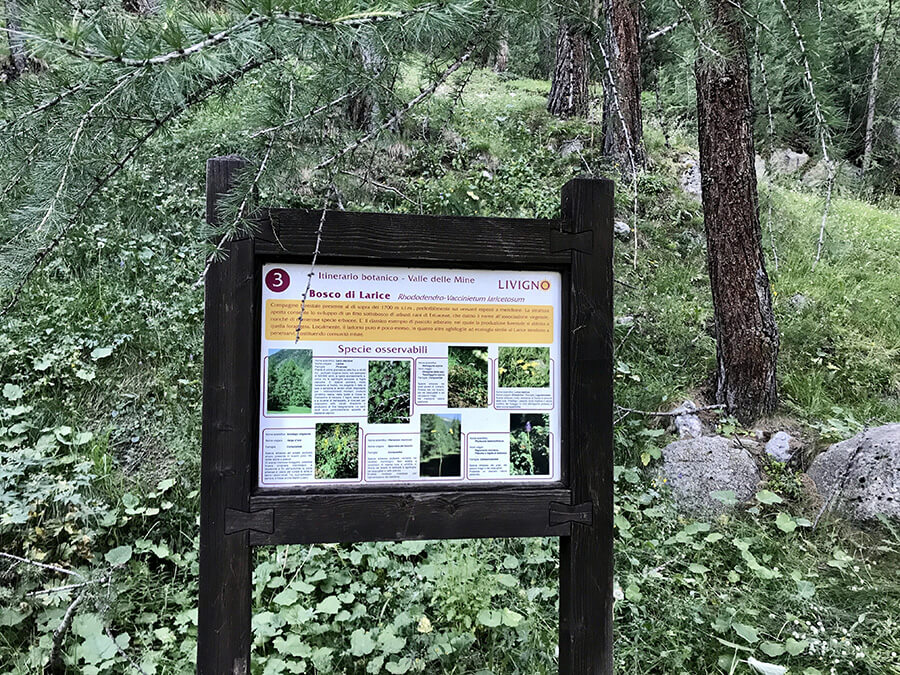 Cartello Itinerario Botanico Cartello Itinerario Botanico