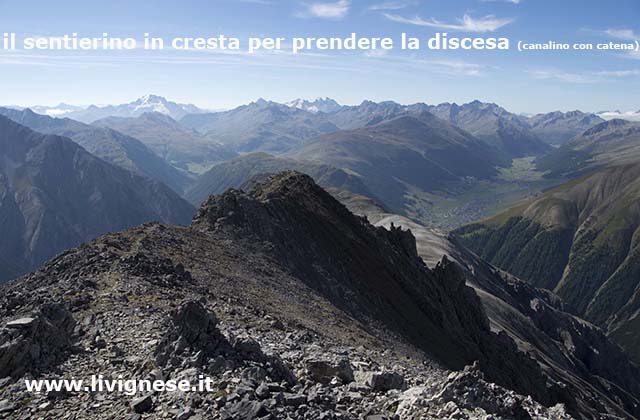 il sentierino in cresta per raggiungere il canalino per la discesa verso Livigno il sentierino in cresta per raggiungere il canalino per scendere