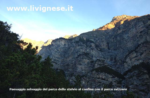 paesaggio nel parco paesaggio del parco