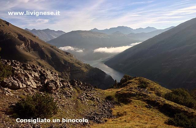 consigliato un binocolo