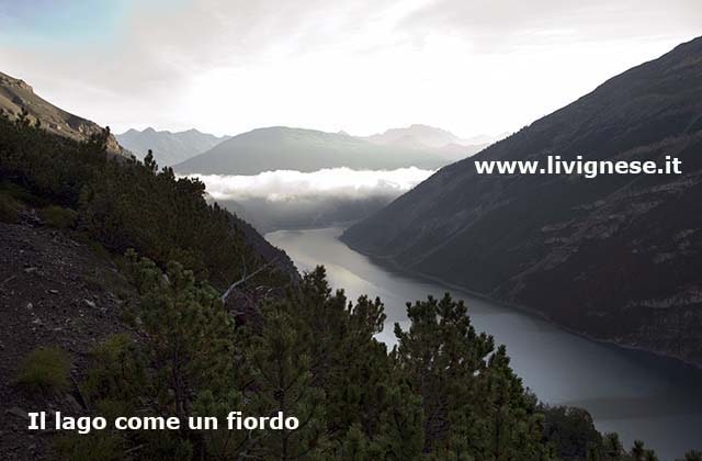 Il lago come un fiordo