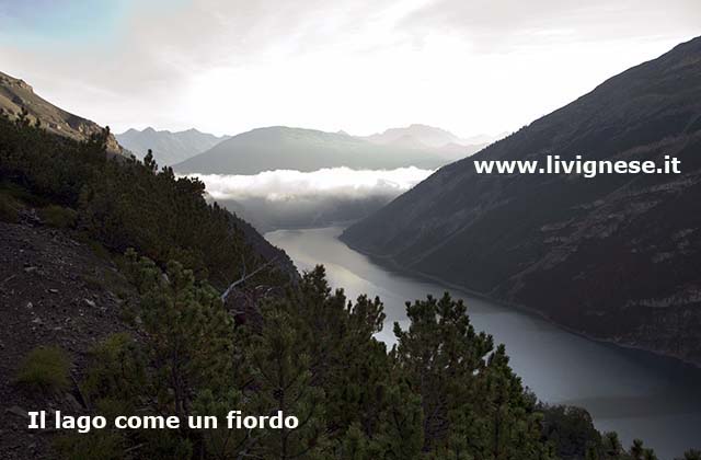 il lago come un fiordo Il lago come un fiordo