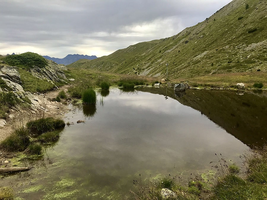 Uno stagno lungo il sentiero Uno stagno lungo il sentiero