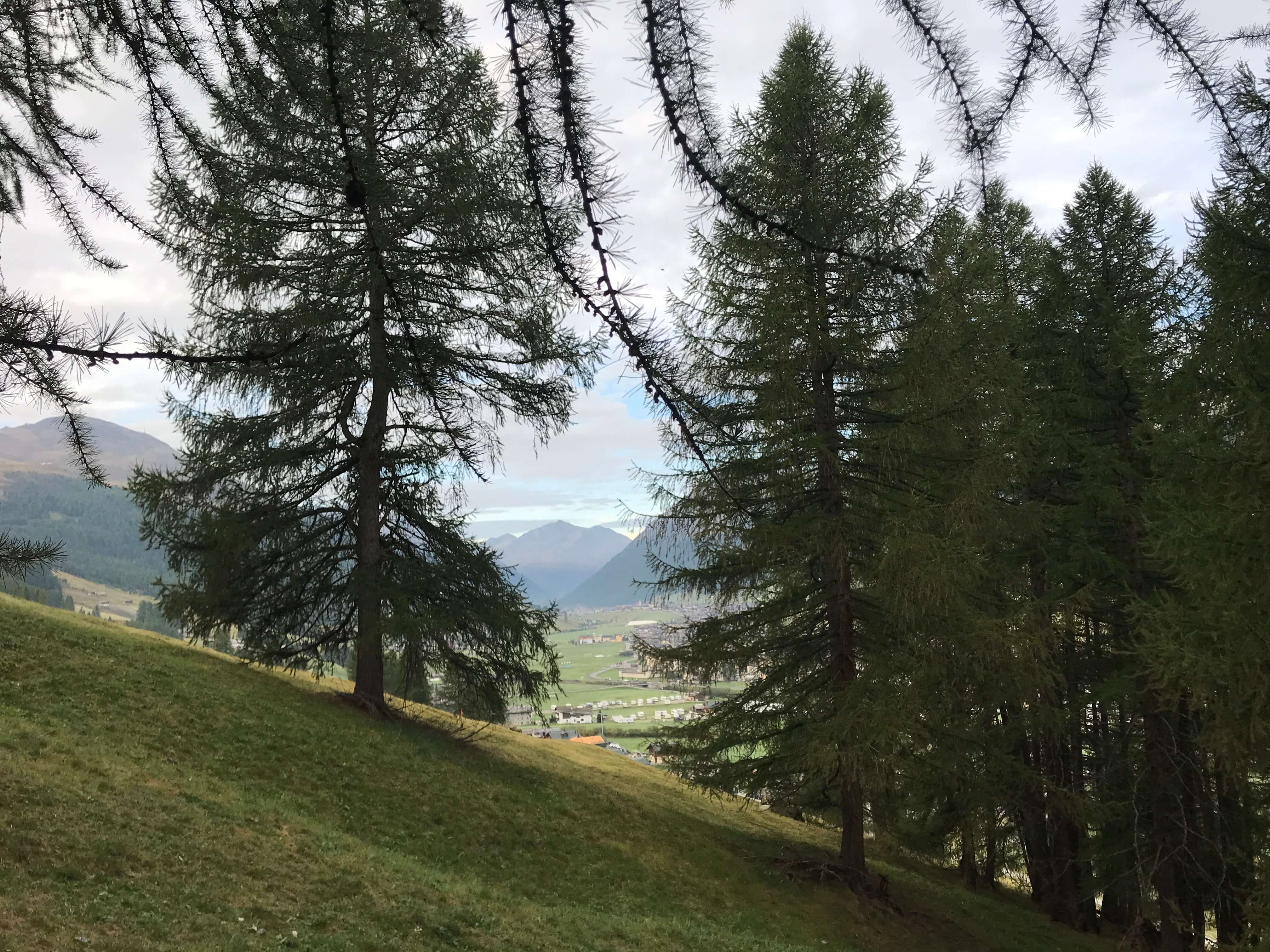 Pasnorama verso la valle di Livigno  Panorama verso la Valle di Livigno