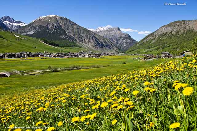 Livigno in primavera Panorama di Livigno a primavera