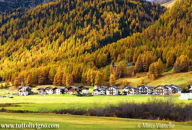 Livigno - contrada Florin in veste autunnale Livigno - Contrada Florin in autunno