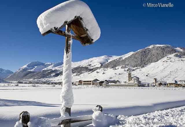 Livigno - panorama invernale