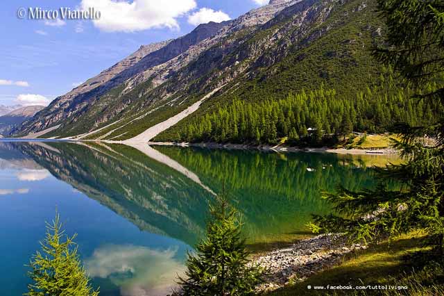 grandi colori in estate sul lago di Livigno Livigno - colori sul lago
