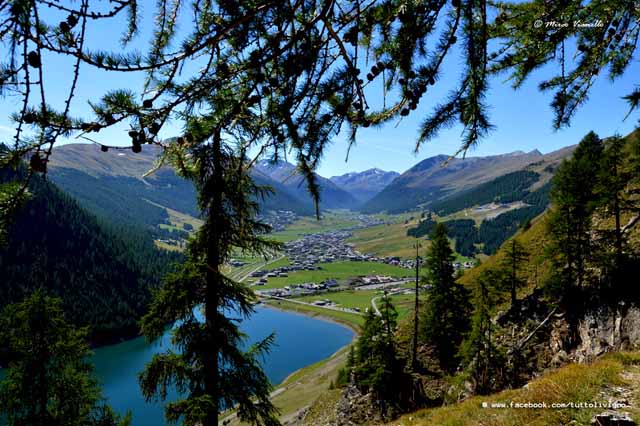 veduta di Livigno dalle pendici del Monte Motto Livigno dalle pendici del MOtto