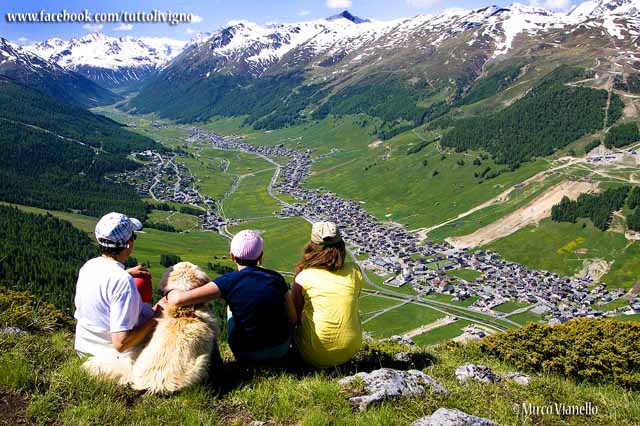 Livigno dal Monte La Parè panorama di Livigno dalla Parè