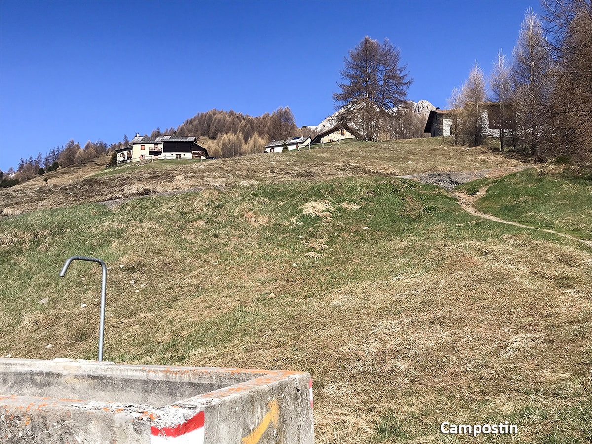 Tee da Campostin a Livigno