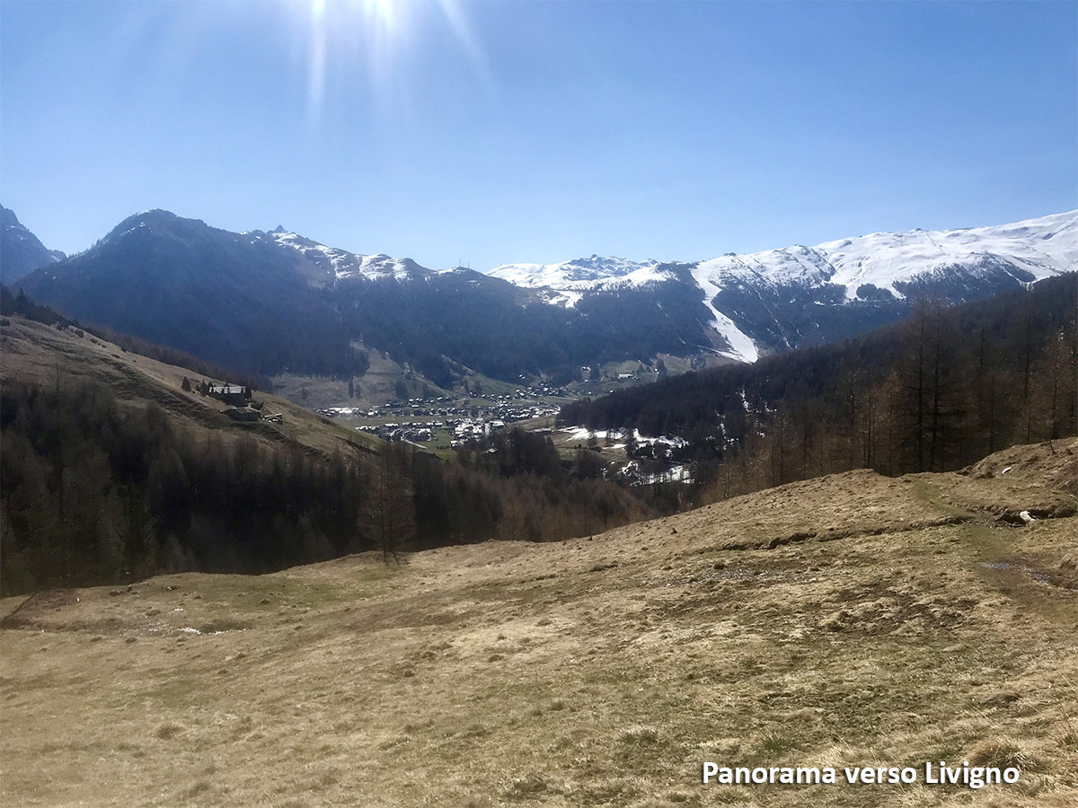 panorama dal sentiero 175 guardando verso Livigno panorama dal sentiero 175 guardando verso Livigno