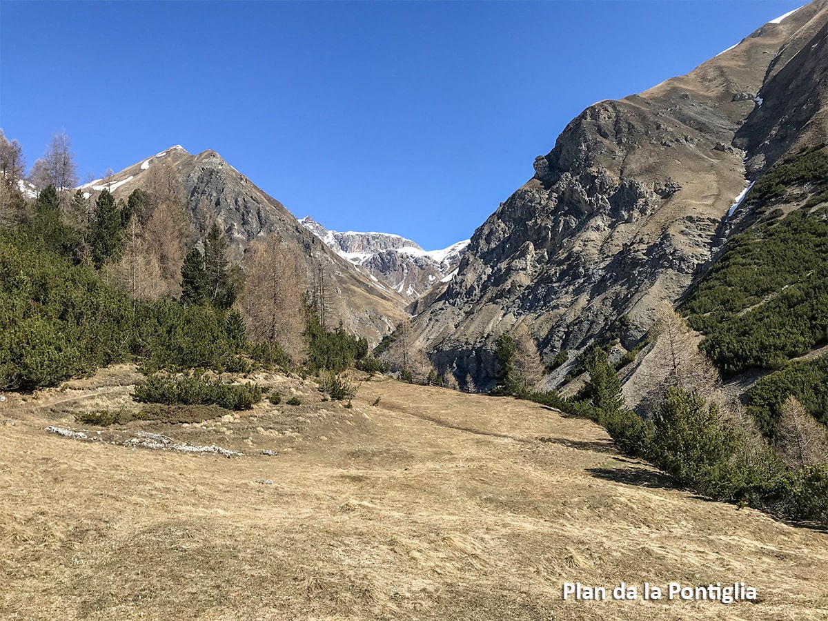 Plan da la Pontiglia - sentiero 175 Livigno