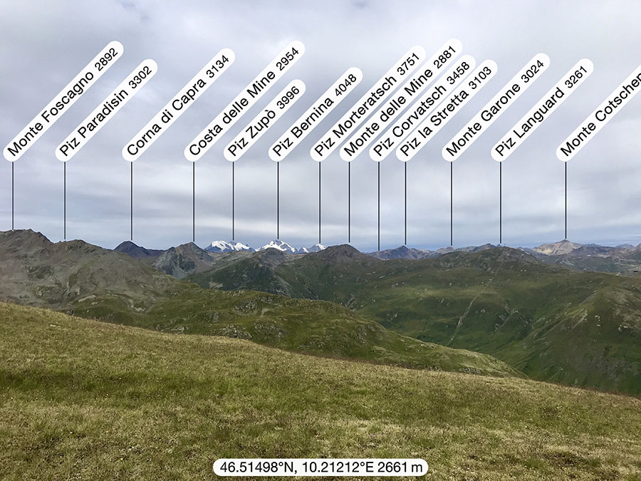 Vista verso il Gruppo del Bernina e il Monte Foscagno