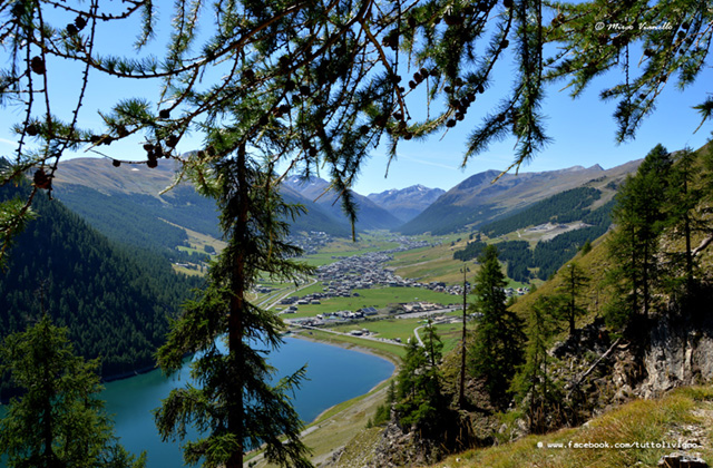 panorama di Livigno dal bosco del Motto panorama di Livigno dal bosco del Motto