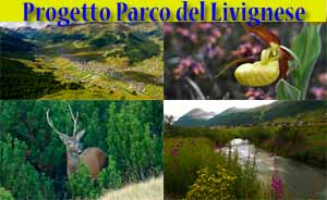 Parco del Livignese - progetto