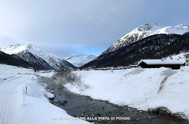 Lo Spöl vicino alla pista per lo sci di fondo Lo Spöl vicino alla pista per lo sci di fondo