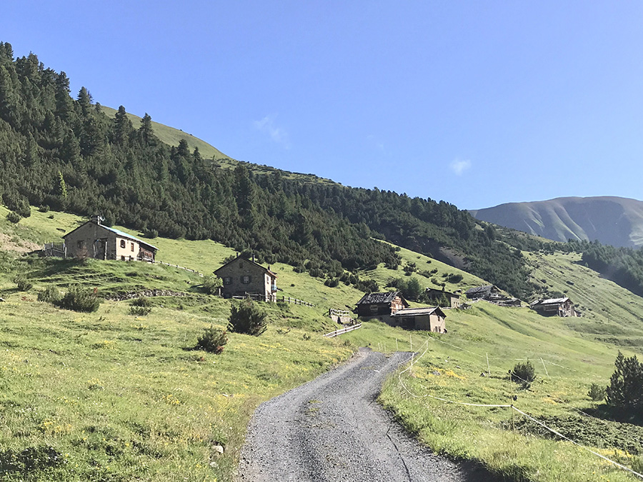 Val Federia - la strada sterrata che si alza un pò rispetto alla valle Val Federia - la strada sterrata che si alza un pò rispetto alla valle