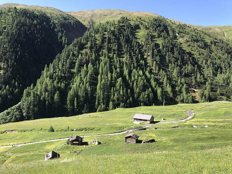 Val Federia - alcune tee in basso nella piana