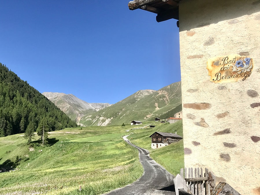 Alcune Tee lungo la strada di Val Federia
