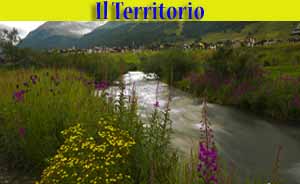 territorio di Livigno - progetto