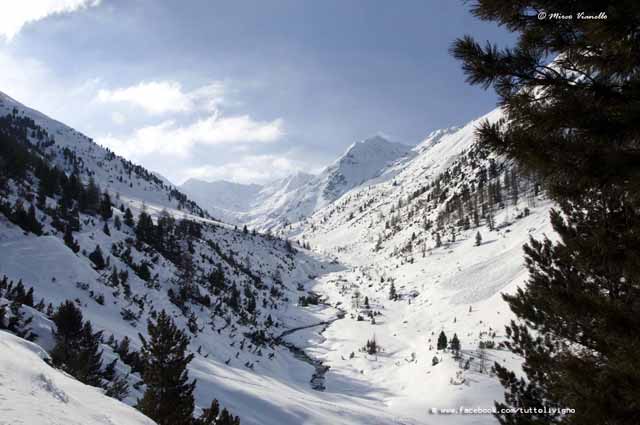 Livigno - Territorio - Valle delle Mine in inverno