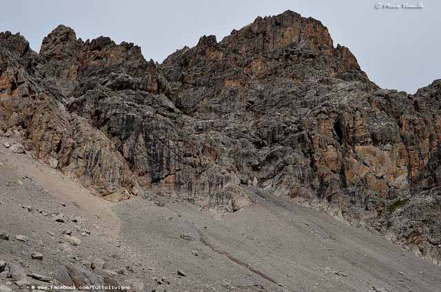 Livigno - Territorio - animali - rocciose cime ( Cima saliente)