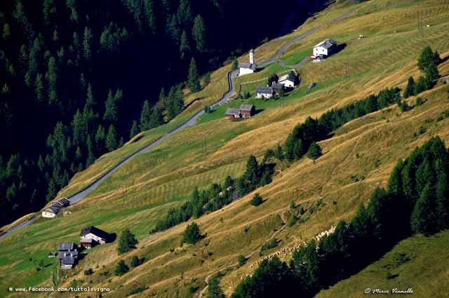 Livigno - Territorio - la dolce Val Federia all'inizio