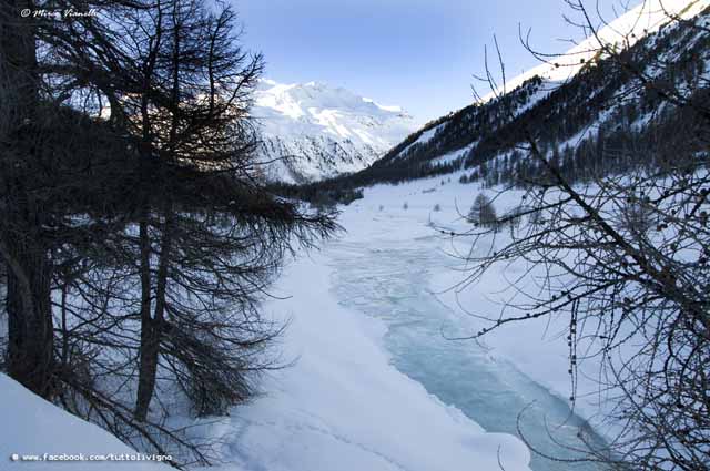 Livigno - Territorio - Torrente del vago