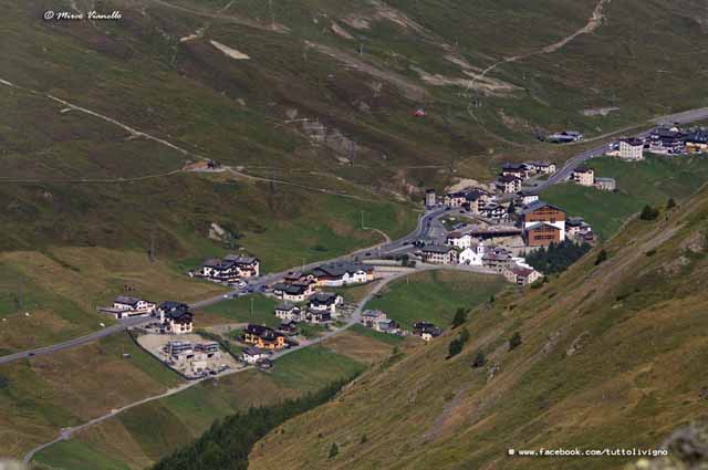 Trepalle ravvicinata da teleobiettivo Trepalle