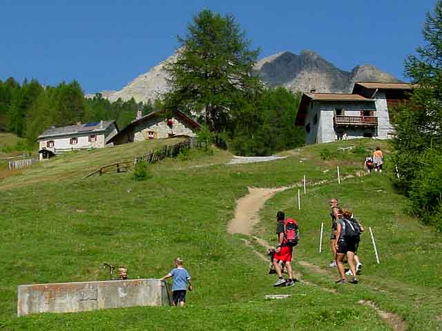 Inizio sentiero per la Val Saliente Campostin Federia inizio sentiero Val saliente