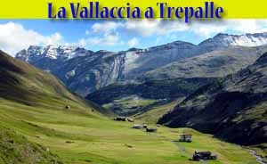 Trepalle (Livigno) la Vallaccia La Vallaccia a Trepalle