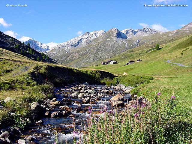 La Vallaccia a suo inizio Vallaccia a Trepalle